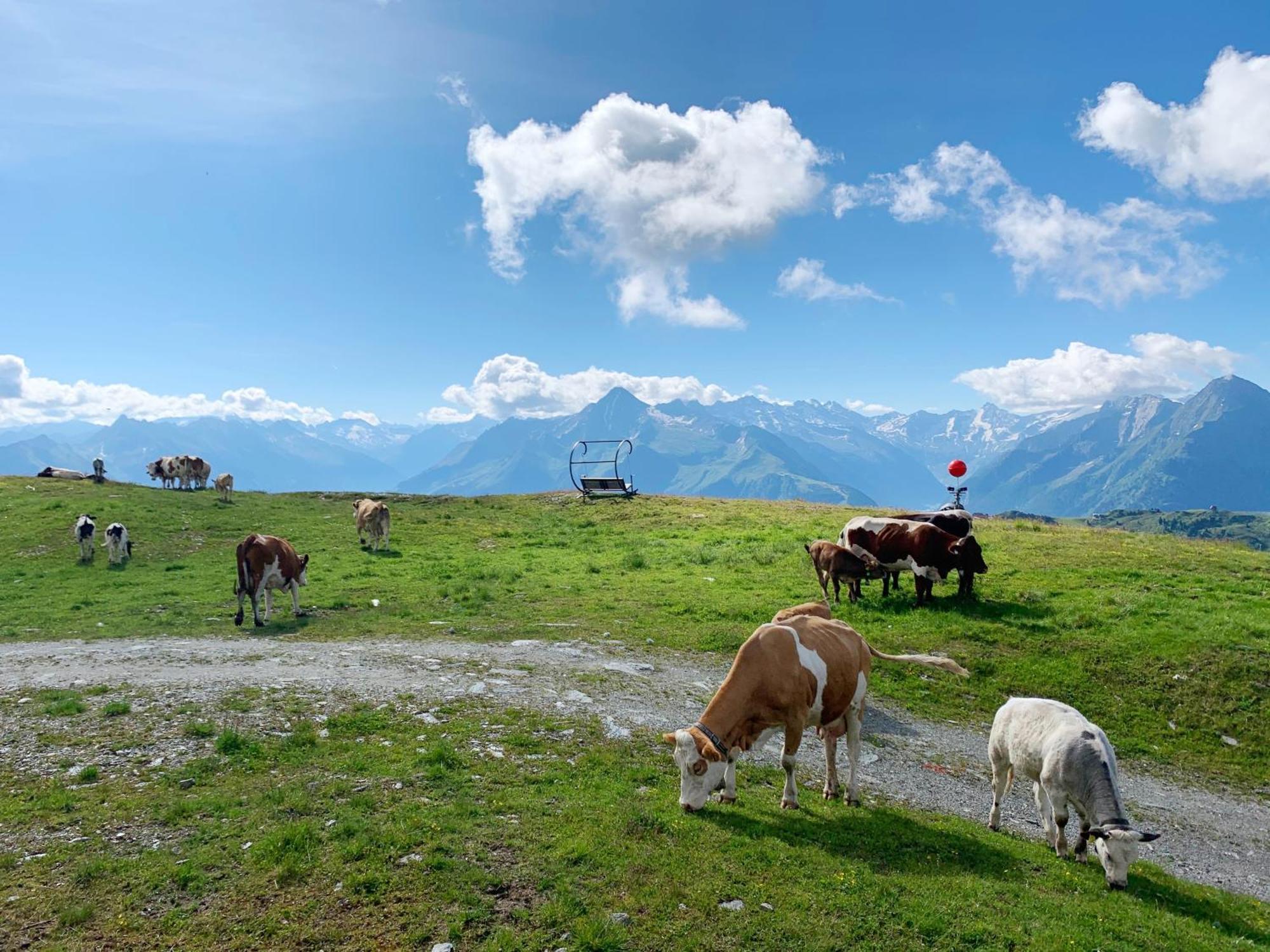 Schneekarhuette Hotell Mayrhofen Exteriör bild